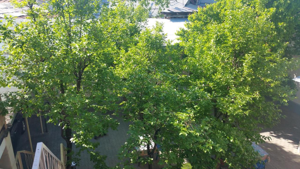 Gulnara Guesthouse Tașkent Exterior foto